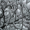 schneeast
