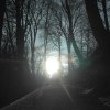 Uetliberg Winterstimmung